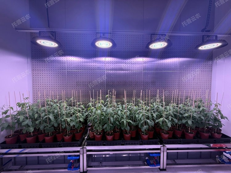 97���ʡ�(�й���)���޹�˾����