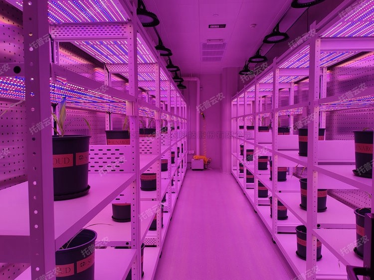 97���ʡ�(�й���)���޹�˾����