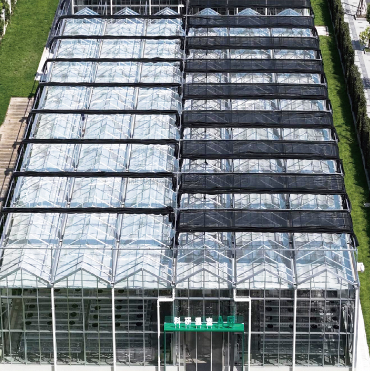 �������˹������� /