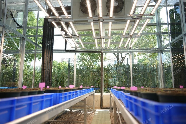 97���ʡ�(�й���)���޹�˾����