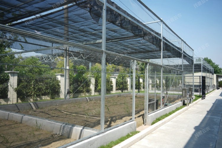 97���ʡ�(�й���)���޹�˾����