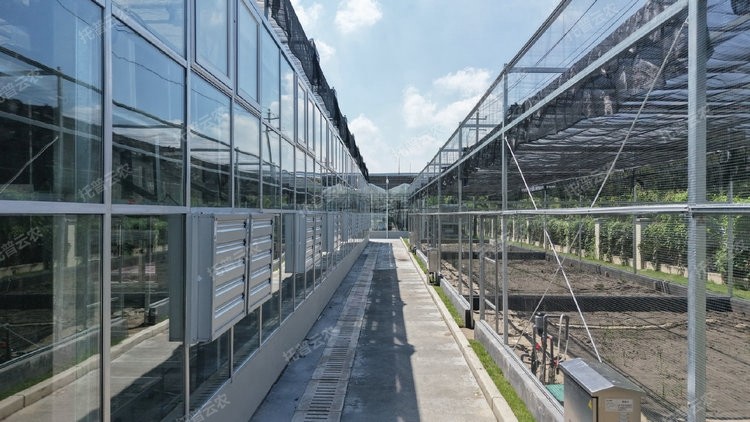 97���ʡ�(�й���)���޹�˾����