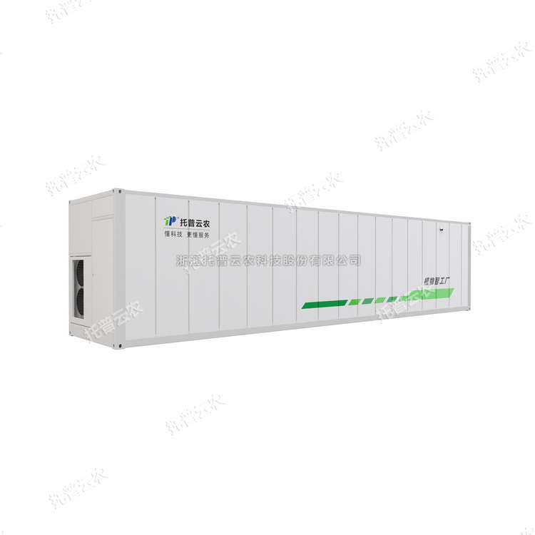 ֲ�﹤����ʲô��������������