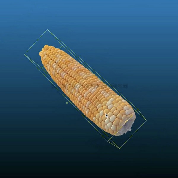 97���ʡ�(�й���)���޹�˾����