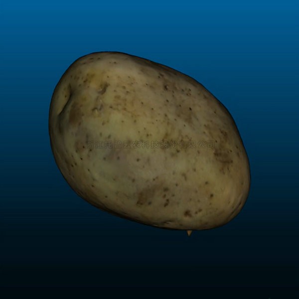 97���ʡ�(�й���)���޹�˾����