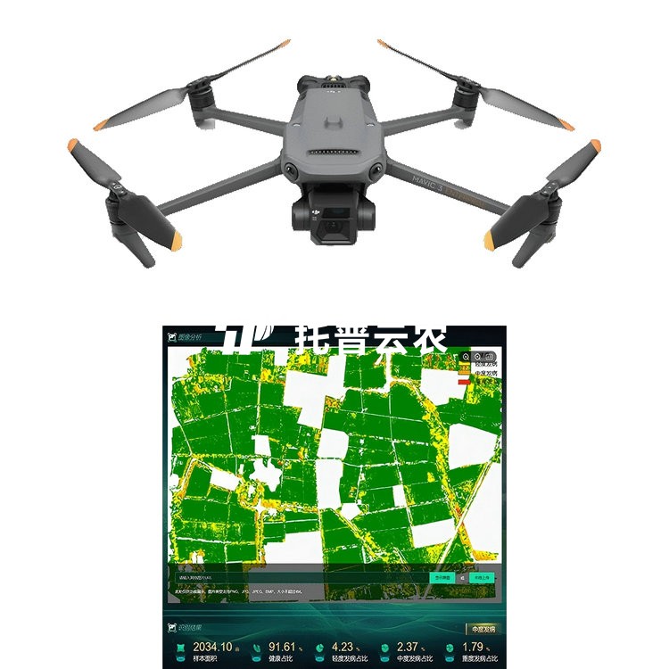 �����ң��ֲ���������ϵͳTP-DGP