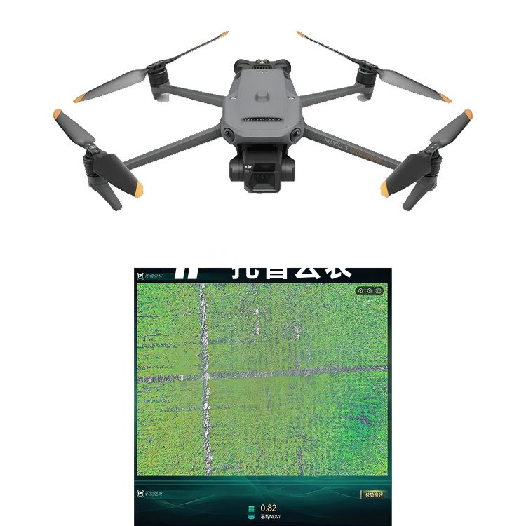 ���ױ����������׼��ϵͳTP-DGP-YM