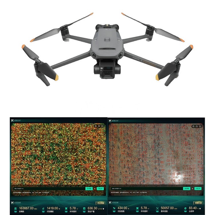 ����ȫ���������ܹ���Ѳ��ϵͳTP-DGP-DM