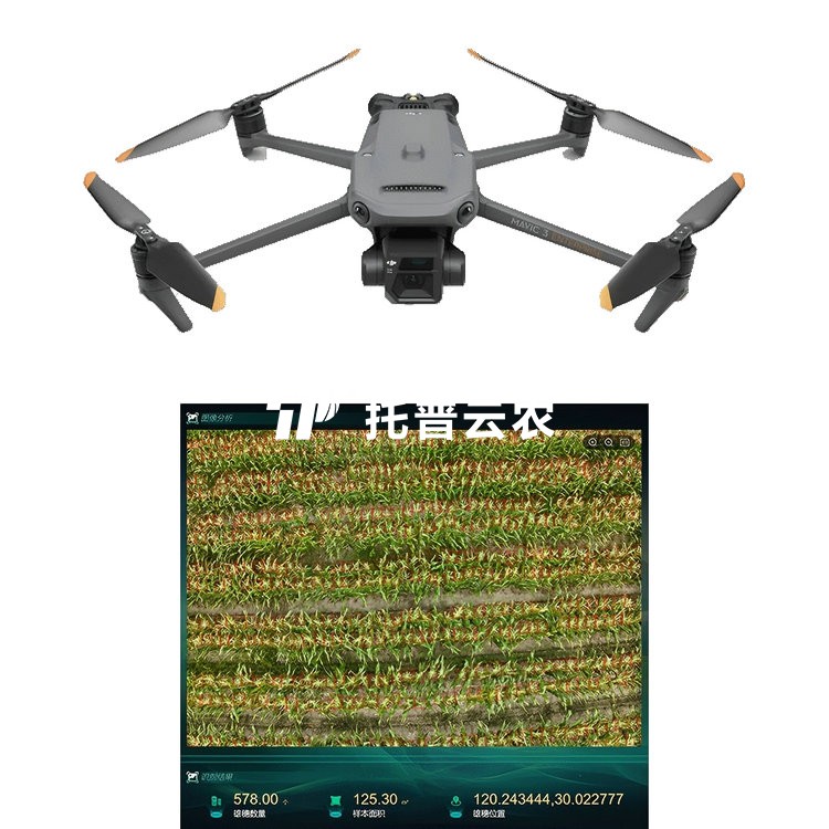 ���ױ����������ϵͳTP-KJG-YM