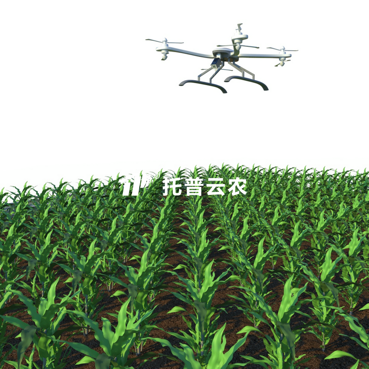 ������˻�ʽ��ͨ��ֲ�������������ƽ̨