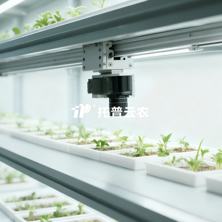 �˹�������ֲ����ͼ��ϵͳTP-PlantPhy