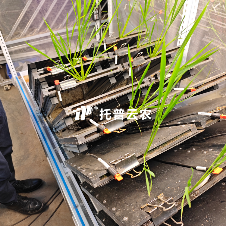 ��ͨ��ֲ���ϵ������������ϵͳ������ʽ��  TPN-GXY-GH