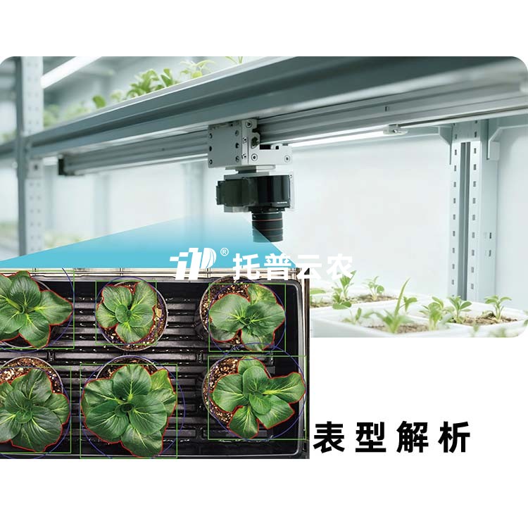 97���ʡ�(�й���)���޹�˾����