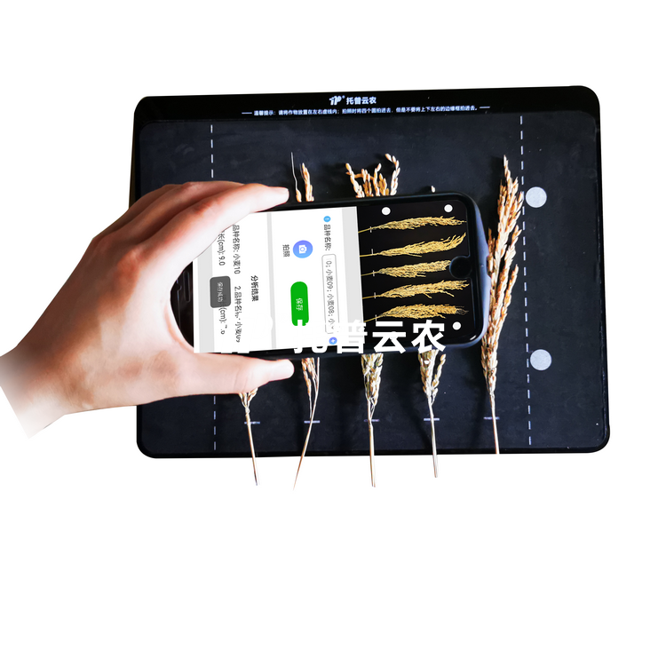 ������̬������TPDS-X-1