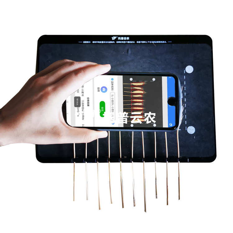 ������̬������TPMS-X-1