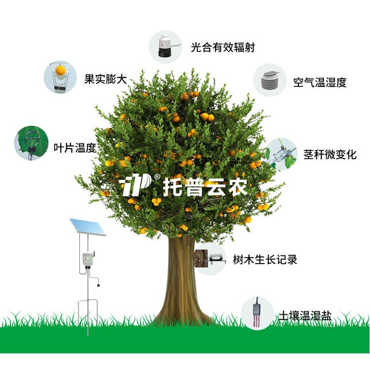 ֲ��������̬���ϵͳTP-ZWSLϵ��