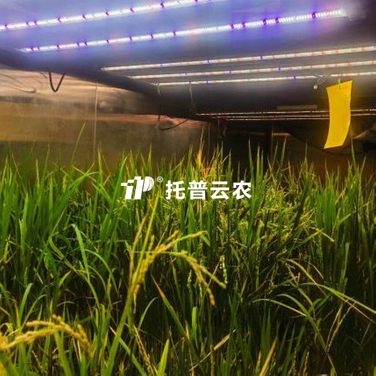 ���ּӴ���/