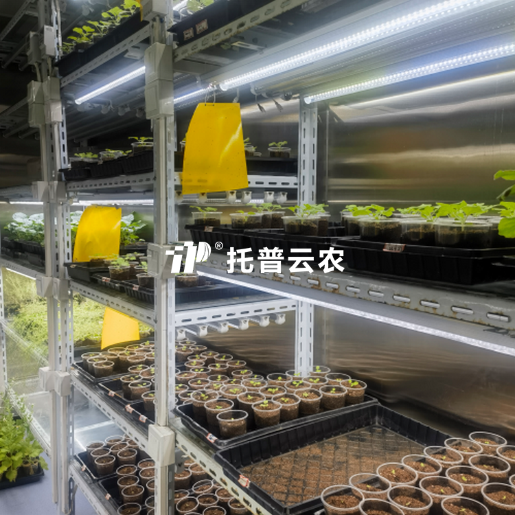 ����������/