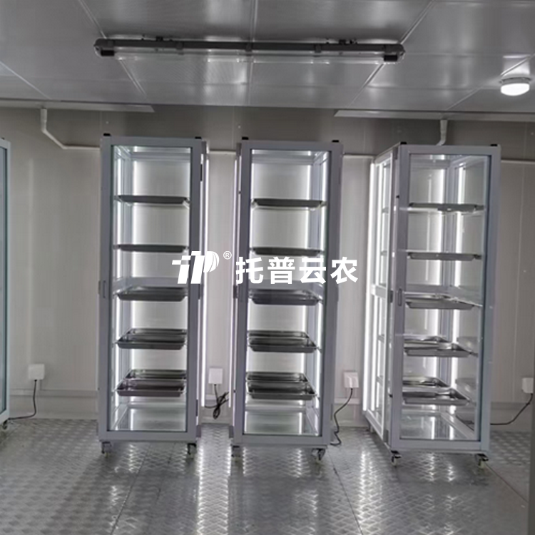 ���ӳ�ѿ��/