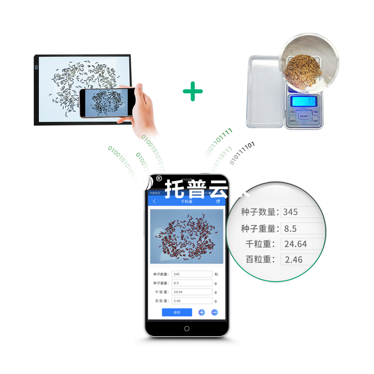 ǧ������V2.0