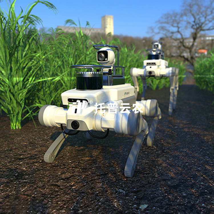 ֲ��Ѳ���е��TP-ROB-01