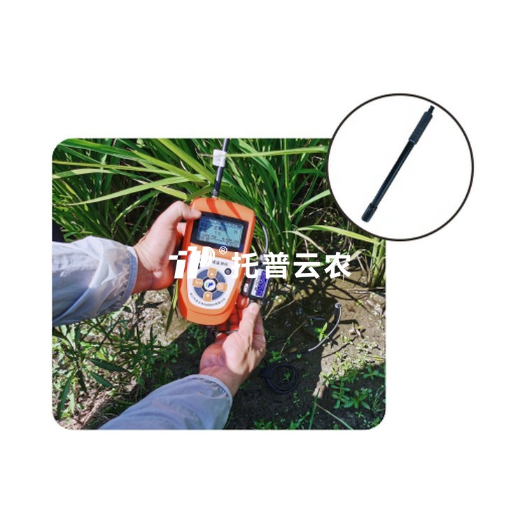 ����pHֵ�ⶨ��TZS-pH-IIG