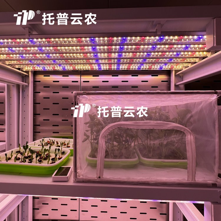 ���ù�Դ�˹���������ʲô����������