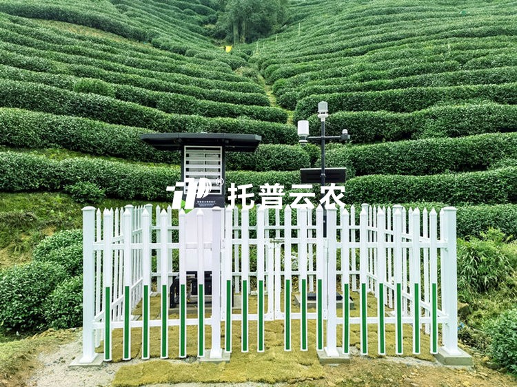 �ǻ۲�԰�ۺϽ���ƻ�|�ǻ۲�԰���ֻ�����ƻ�