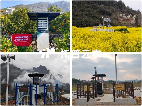 ��¢�ϵĴ����ػ���ح�����ﱳ�󣬣������������������˵�רҵ�����