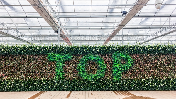 97����ȫ�Զ��й��������Ҵ���