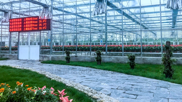 ���������ο���ϵͳ