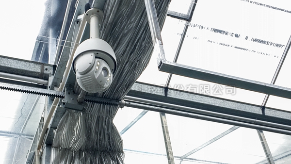 ���������ο���ϵͳ