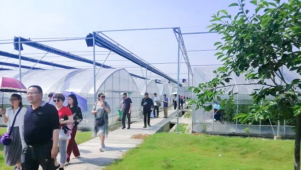 Åàѵ°à¶¥×Å¿áÊ²ìÏôÉ½ÇøÅ©¿ÆËùÁÙÆÖ»ùµØ Åàѵ°à¶¥×Å¿áÊ²ìÏôÉ½ÇøÅ©¿ÆËùÁÙÆÖ»ùµØ