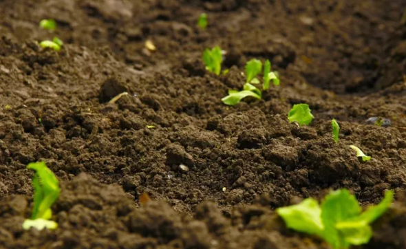 �����л���