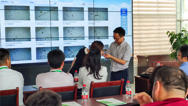  ���񻪸���˾���������Χ�Ƴ���ⱨ���뽻��