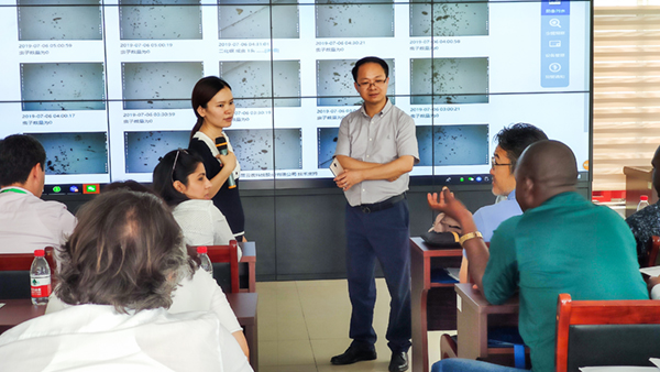  ���񻪸���˾���������Χ�Ƴ���ⱨ���뽻��