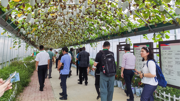 �������ũҵ����ר���ڹ�Ħ����