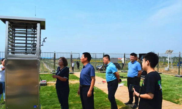 Ҧ�س��ڼִ��粡�������յ��ĳɳ��������ѯ��