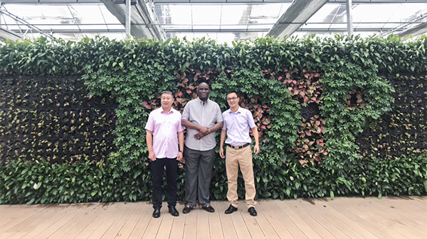 ��������ũҵ�����г�����97����