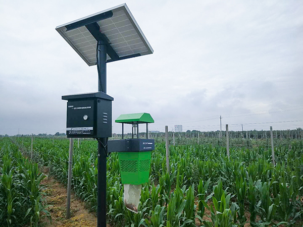 ����ʽɱ���