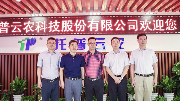 ��Ӱ����