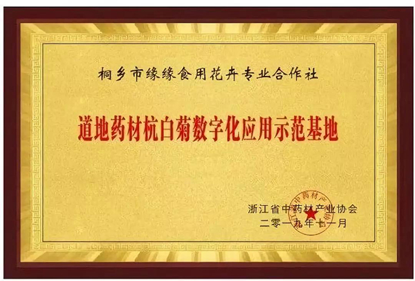 ����ҩ�ĺ��׾����ֻ�Ӧ����ģ����