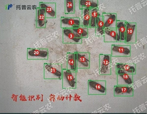 ³æÁ³Ê¶±ð ³æÁ³Ê¶±ð