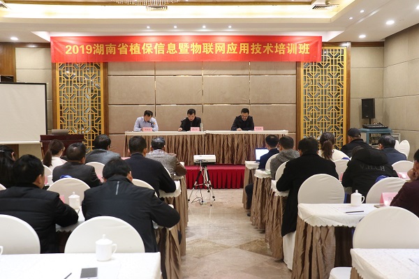 97����Ч�ͺ���ʡֲ����Ϣ������ѵ���ں�����