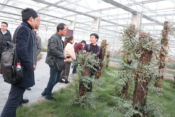 ��ѵ������97�������ֻ���