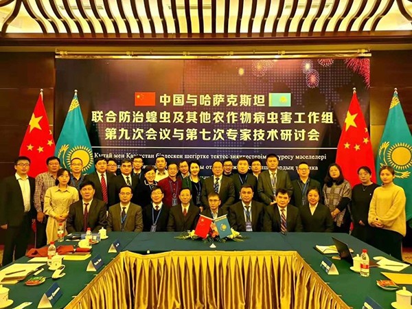 12���������������й��Ž���������鼯����Ӱ����