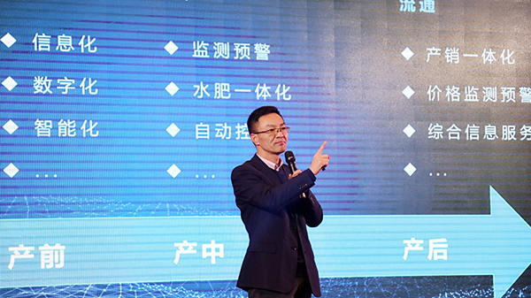 97���ʳ��������³�ǿ��Ч�͵���Ҫ��