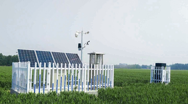 97����ֲ����Ʒ