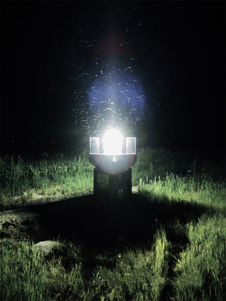 �Ƽ����������������ҹ�Ƴ���