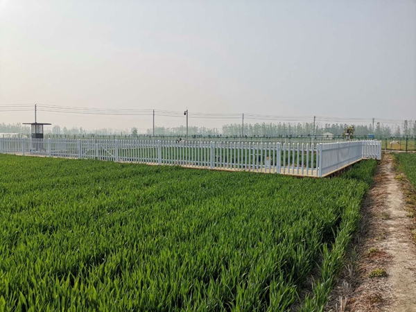 ��̰����Ĳⱨ�����